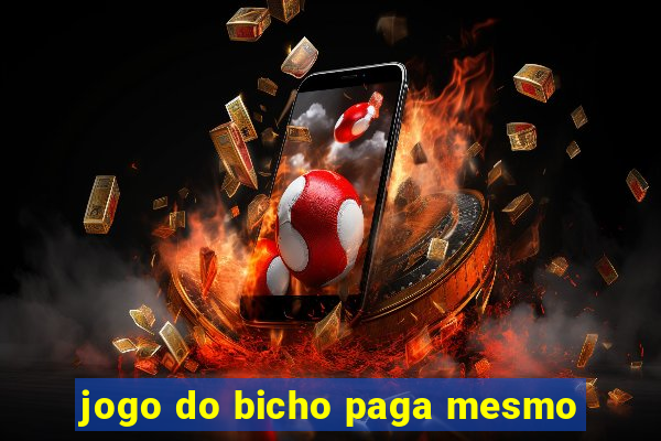 jogo do bicho paga mesmo