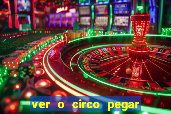 ver o circo pegar fogo significado