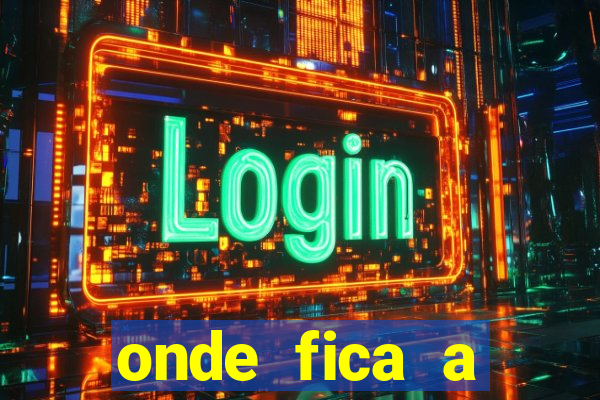 onde fica a organizada do flamengo no maracanã