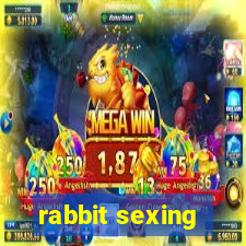 rabbit sexing