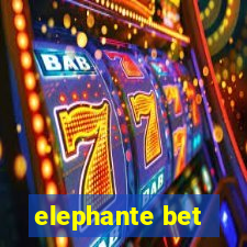 elephante bet