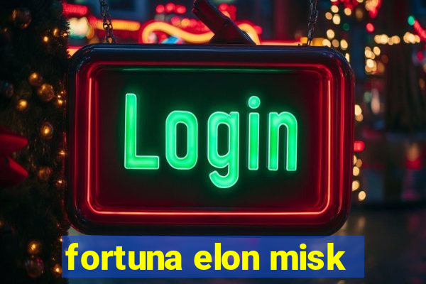 fortuna elon misk