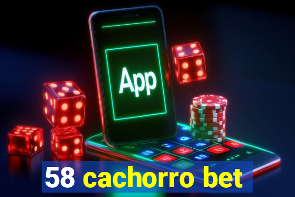 58 cachorro bet