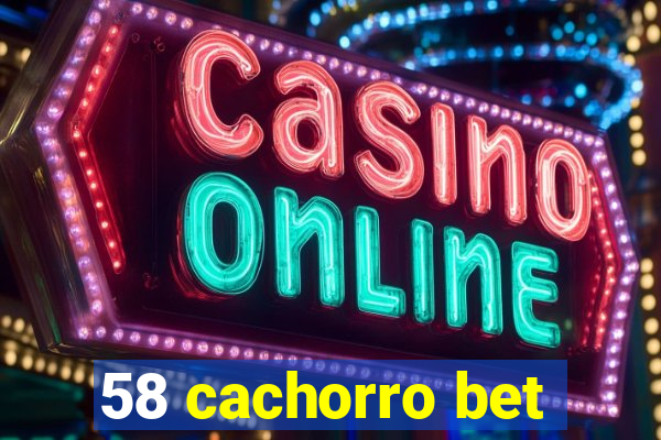 58 cachorro bet