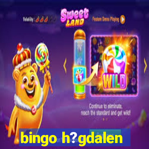 bingo h?gdalen