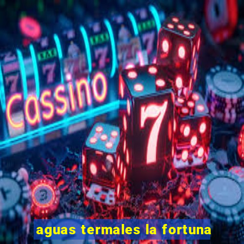 aguas termales la fortuna