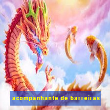 acompanhante de barreiras