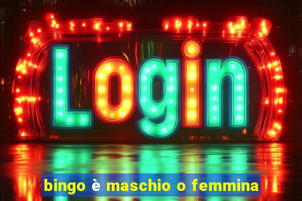 bingo è maschio o femmina