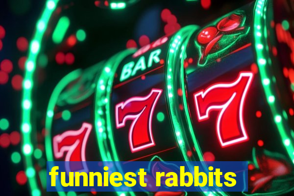 funniest rabbits