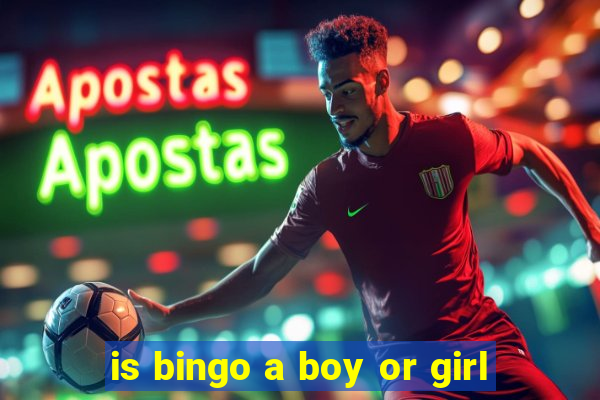 is bingo a boy or girl