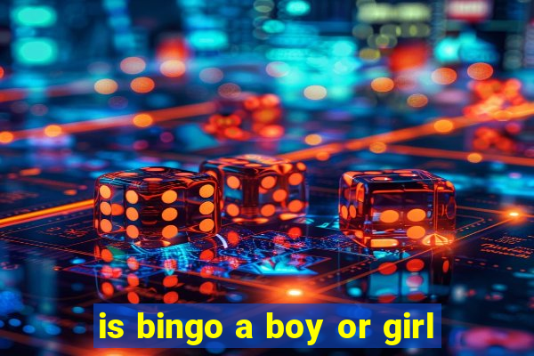 is bingo a boy or girl