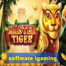 software igaming