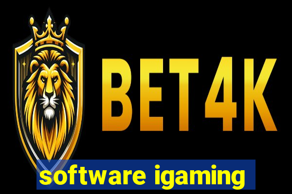 software igaming