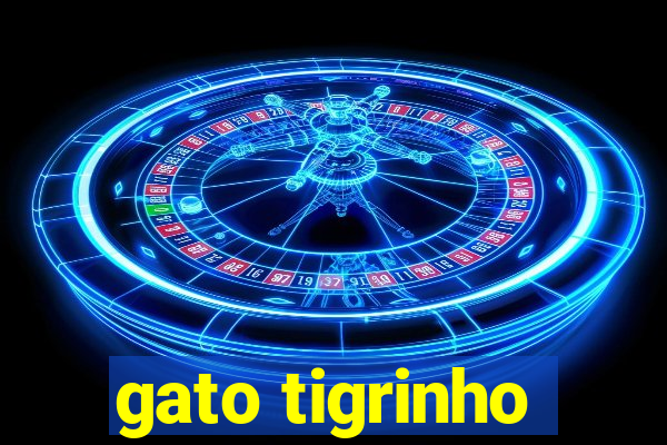 gato tigrinho