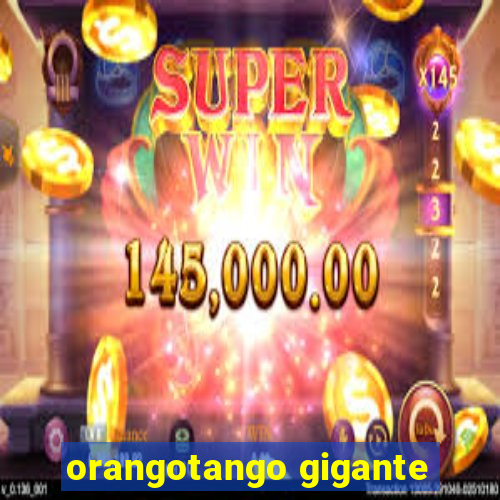 orangotango gigante