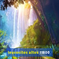 leucocitos altos 11800