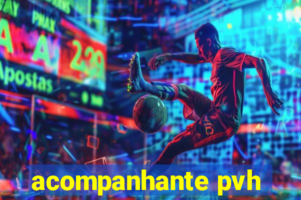 acompanhante pvh