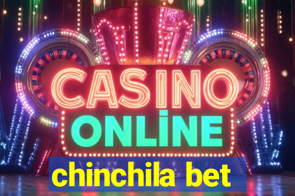 chinchila bet