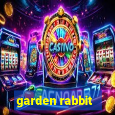 garden rabbit