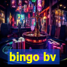 bingo bv