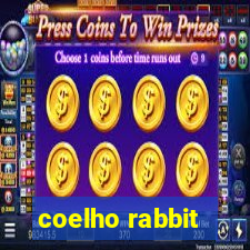 coelho rabbit