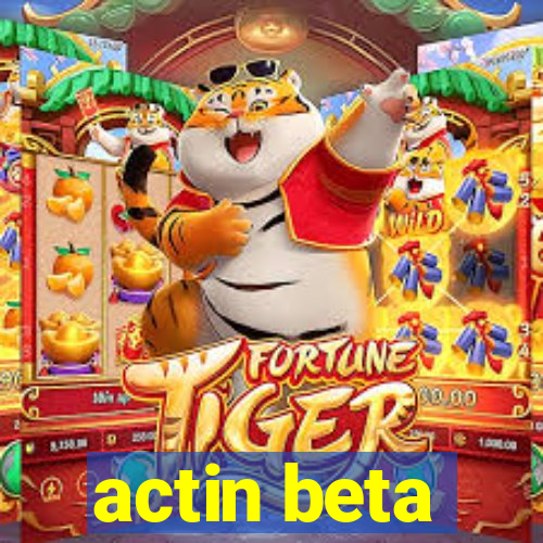 actin beta