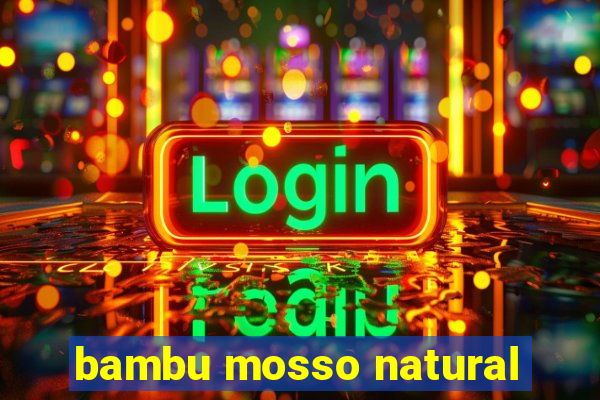 bambu mosso natural