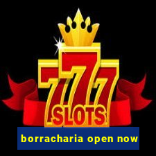 borracharia open now