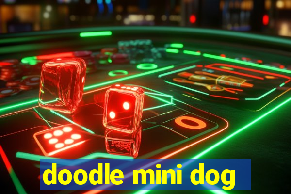 doodle mini dog