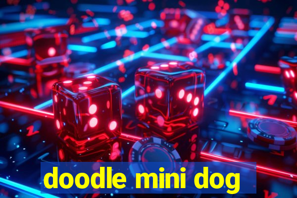 doodle mini dog