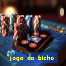 jogo do bicho federal aposta online