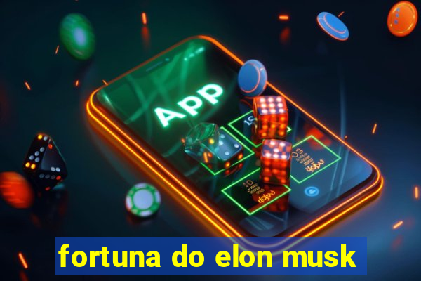 fortuna do elon musk