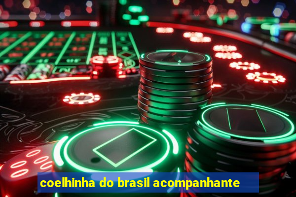 coelhinha do brasil acompanhante