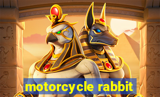 motorcycle rabbit