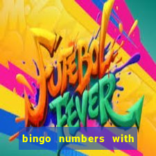 bingo numbers with highest probability