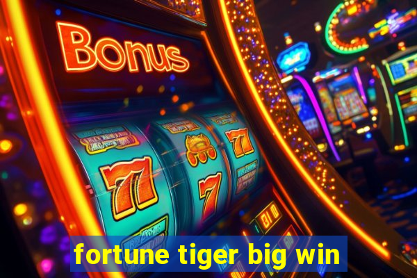 fortune tiger big win