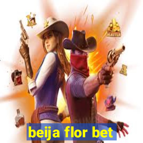 beija flor bet