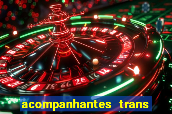 acompanhantes trans baixada fluminense