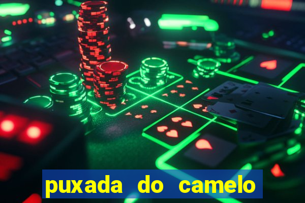 puxada do camelo no jogo do bicho