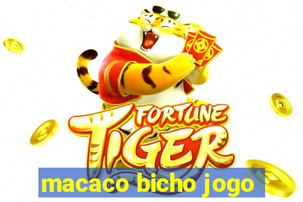 macaco bicho jogo