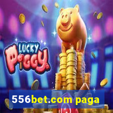 556bet.com paga