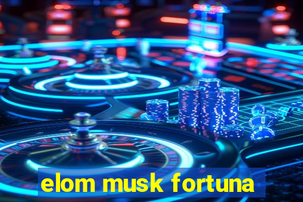 elom musk fortuna