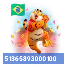 51365893000100