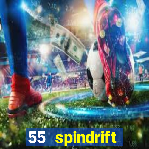 55 spindrift williamsville ny