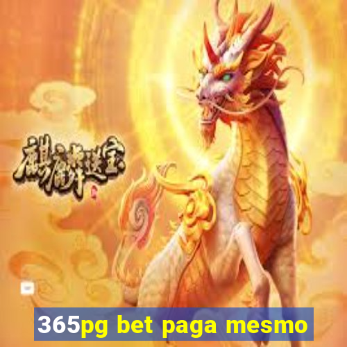 365pg bet paga mesmo