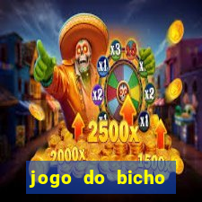 jogo do bicho aposta certa