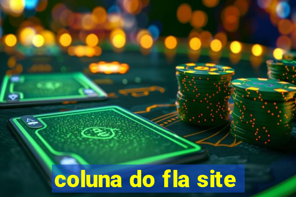 coluna do fla site