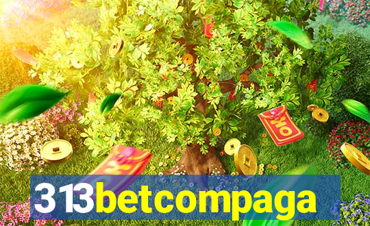 313betcompaga