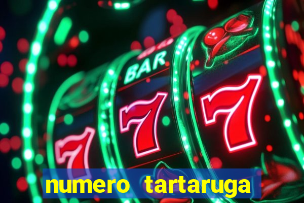 numero tartaruga jogo do bicho