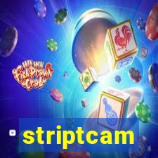 striptcam